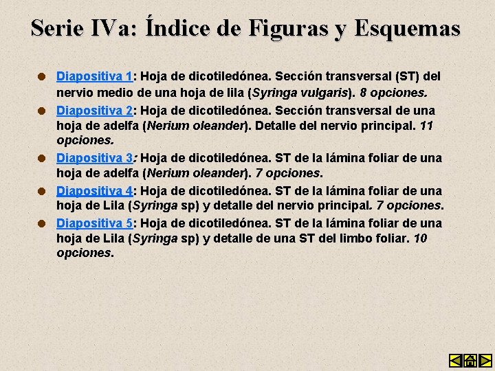 Serie IVa: Índice de Figuras y Esquemas l l l Diapositiva 1: Hoja de