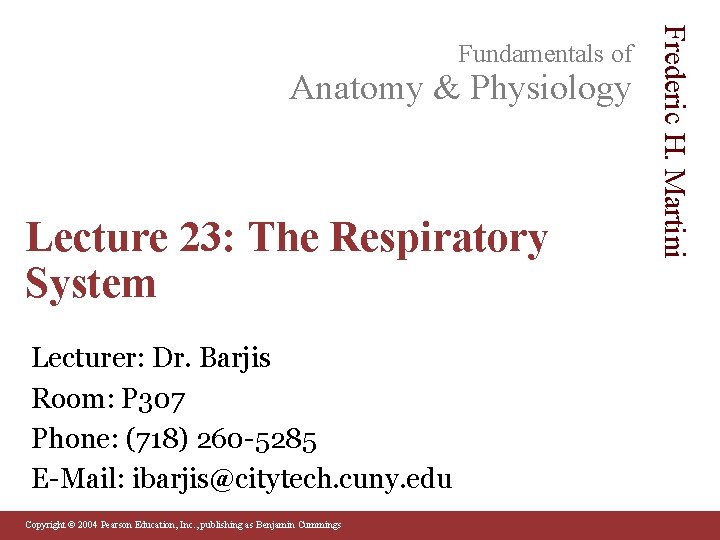 Anatomy & Physiology Lecture 23: The Respiratory System Lecturer: Dr. Barjis Room: P 307