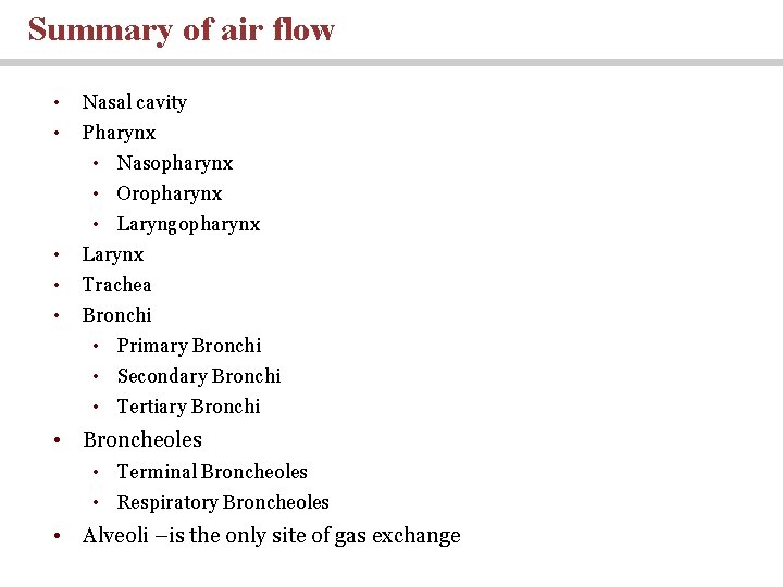 Summary of air flow • Nasal cavity • Pharynx • Nasopharynx • Oropharynx •