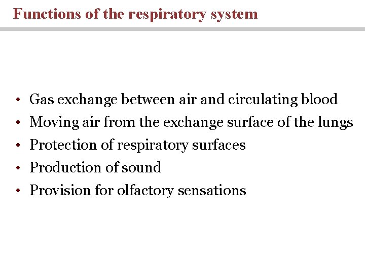 Functions of the respiratory system • Gas exchange between air and circulating blood •