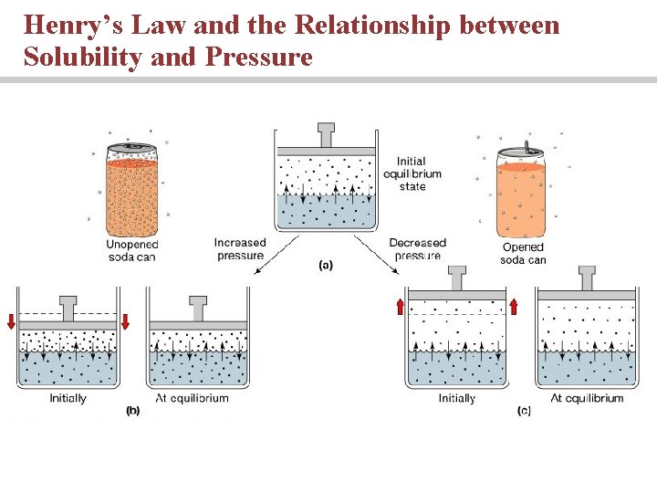 Henry’s Law and the Relationship between Solubility and Pressure 