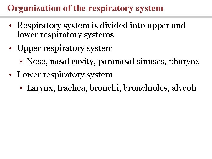 Organization of the respiratory system • Respiratory system is divided into upper and lower