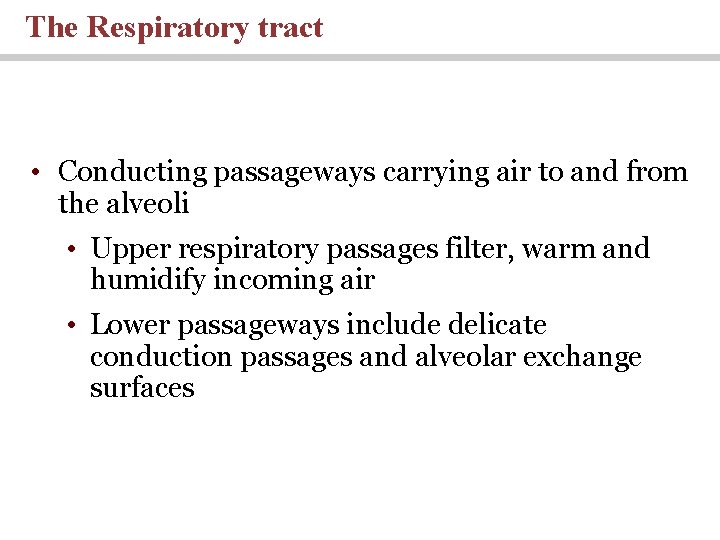 The Respiratory tract • Conducting passageways carrying air to and from the alveoli •