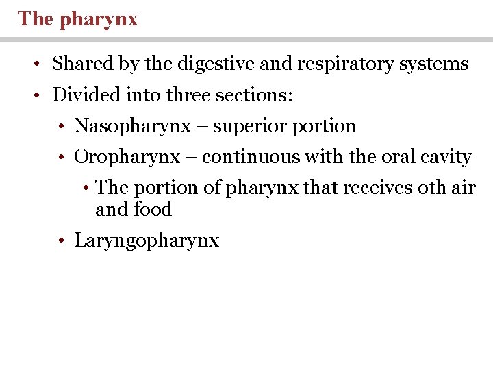 The pharynx • Shared by the digestive and respiratory systems • Divided into three The pharynx • Shared by the digestive and respiratory systems • Divided into three