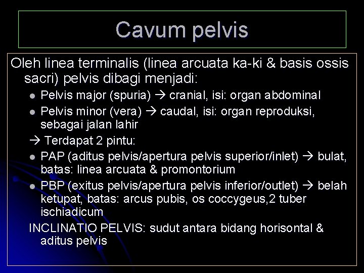 Cavum pelvis Oleh linea terminalis (linea arcuata ka-ki & basis ossis sacri) pelvis dibagi