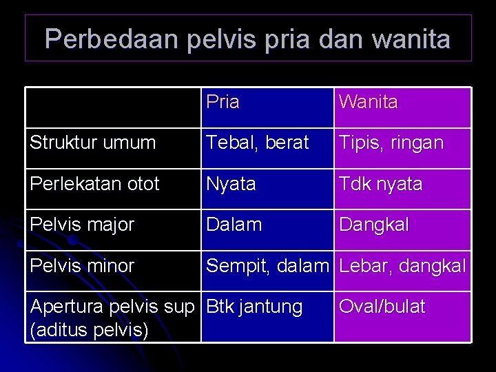 Perbedaan pelvis pria dan wanita Pria Wanita Struktur umum Tebal, berat Tipis, ringan Perlekatan