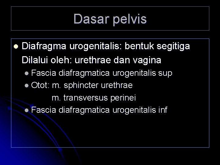Dasar pelvis l Diafragma urogenitalis: bentuk segitiga Dilalui oleh: urethrae dan vagina l Fascia