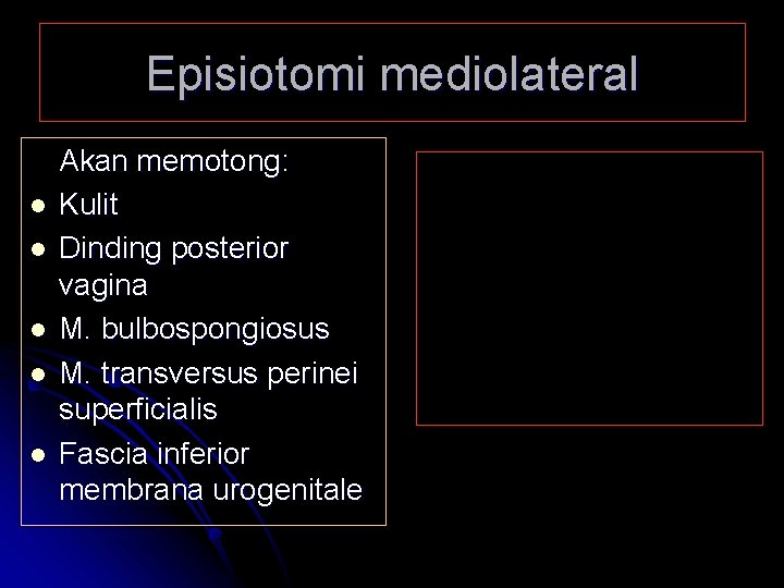 Episiotomi mediolateral l l Akan memotong: Kulit Dinding posterior vagina M. bulbospongiosus M. transversus