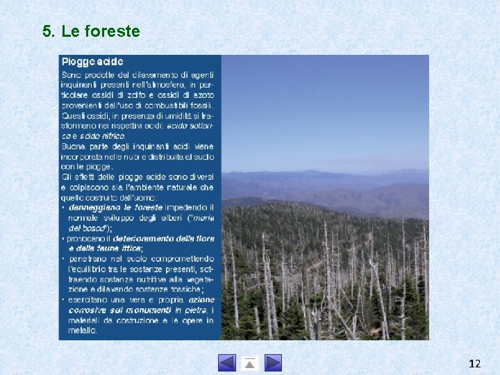 5. Le foreste 12 