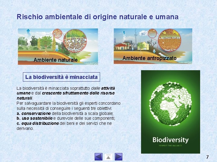 Rischio ambientale di origine naturale e umana Ambiente naturale Ambiente antropizzato La biodiversità è