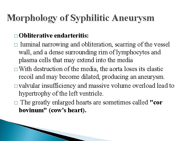 Morphology of Syphilitic Aneurysm � Obliterative endarteritis: � luminal narrowing and obliteration, scarring of