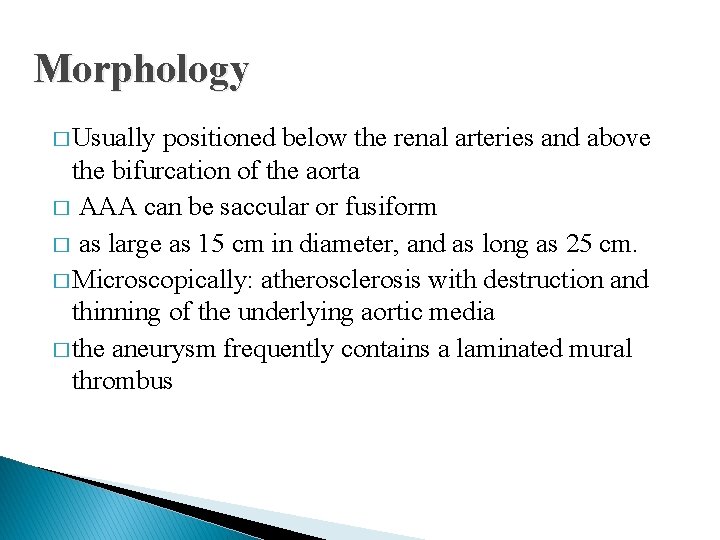 Morphology � Usually positioned below the renal arteries and above the bifurcation of the