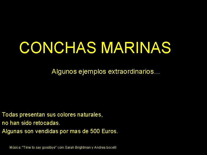 CONCHAS MARINAS Algunos ejemplos extraordinarios… Todas presentan sus colores naturales, no han sido retocadas.