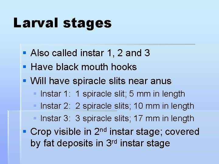 Larval stages § § § Also called instar 1, 2 and 3 Have black