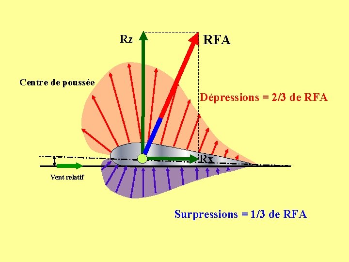 Rz RFA Centre de poussée Dépressions = 2/3 de RFA Rx Vent relatif Surpressions