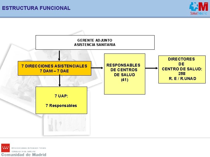 ESTRUCTURA FUNCIONAL GERENTE ADJUNTO ASISTENCIA SANITARIA 7 DIRECCIONES ASISTENCIALES 7 DAM – 7 DAE