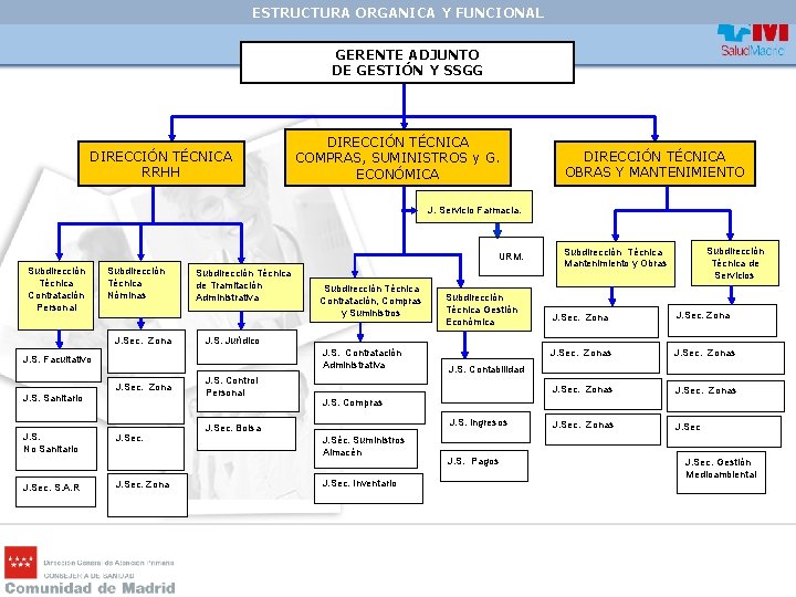 ESTRUCTURA ORGANICA Y FUNCIONAL GERENTE ADJUNTO DE GESTIÓN Y SSGG DIRECCIÓN TÉCNICA RRHH DIRECCIÓN