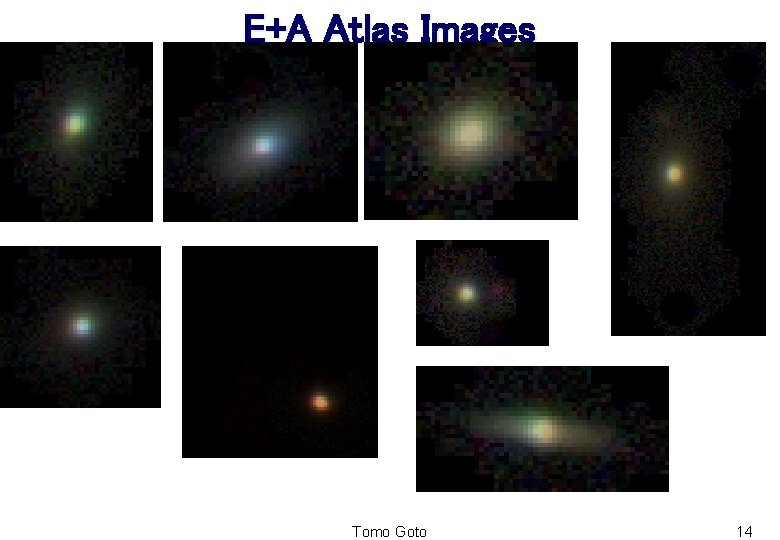 E+A Atlas Images Tomo Goto 14 