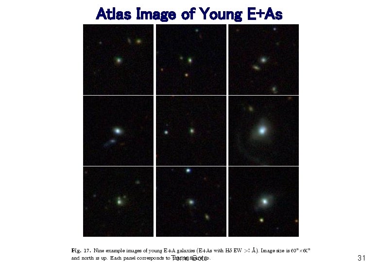 Atlas Image of Young E+As Tomo Goto 31 