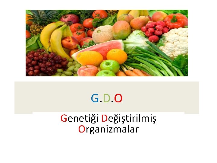 G. D. O Genetiği Değiştirilmiş Organizmalar 