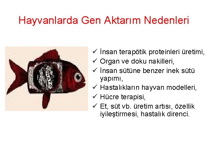 Hayvanlarda Gen Aktarım Nedenleri ü İnsan terapötik proteinleri üretimi, ü Organ ve doku nakilleri,