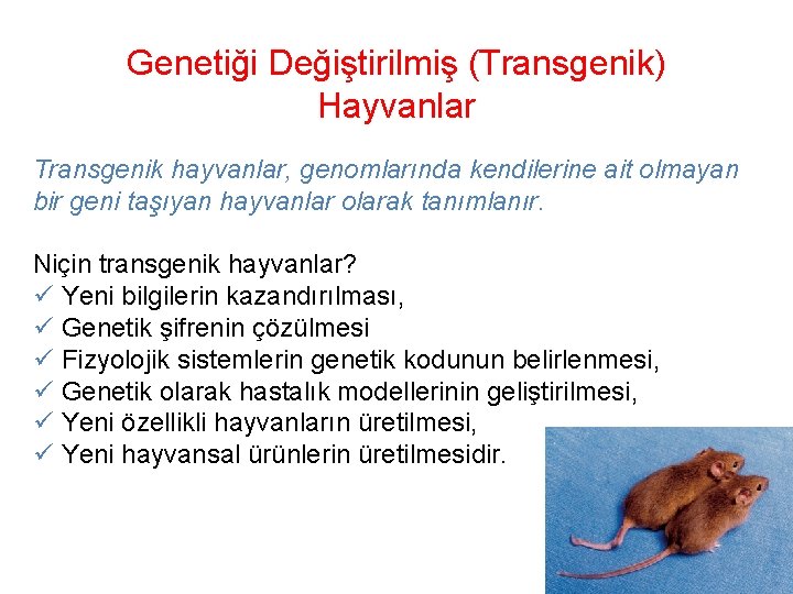 Genetiği Değiştirilmiş (Transgenik) Hayvanlar Transgenik hayvanlar, genomlarında kendilerine ait olmayan bir geni taşıyan hayvanlar