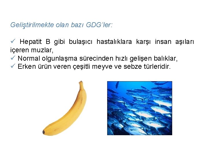 Geliştirilmekte olan bazı GDG’ler: ü Hepatit B gibi bulaşıcı hastalıklara karşı insan aşıları içeren