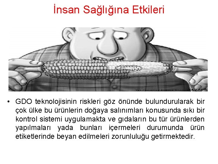 İnsan Sağlığına Etkileri • GDO teknolojisinin riskleri göz önünde bulundurularak bir çok ülke bu