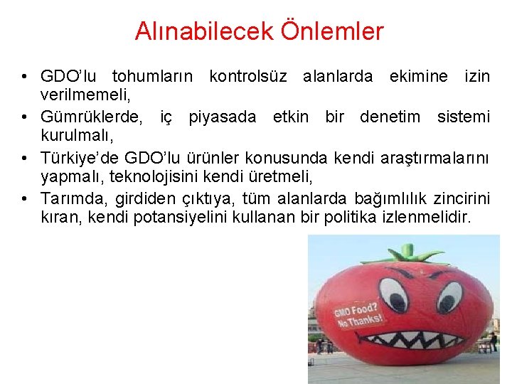 Alınabilecek Önlemler • GDO’lu tohumların kontrolsüz alanlarda ekimine izin verilmemeli, • Gümrüklerde, iç piyasada