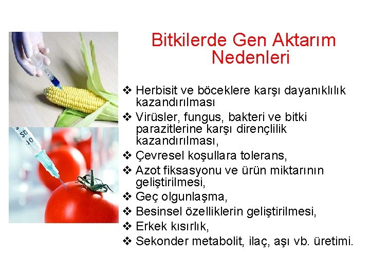 Bitkilerde Gen Aktarım Nedenleri v Herbisit ve böceklere karşı dayanıklılık kazandırılması v Virüsler, fungus,