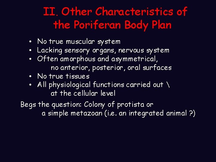 II. Other Characteristics of the Poriferan Body Plan • No true muscular system • II. Other Characteristics of the Poriferan Body Plan • No true muscular system •