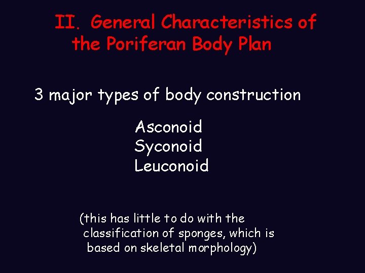 II. General Characteristics of the Poriferan Body Plan 3 major types of body construction II. General Characteristics of the Poriferan Body Plan 3 major types of body construction