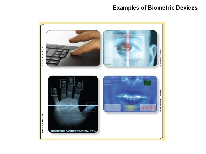 Examples of Biometric Devices 
