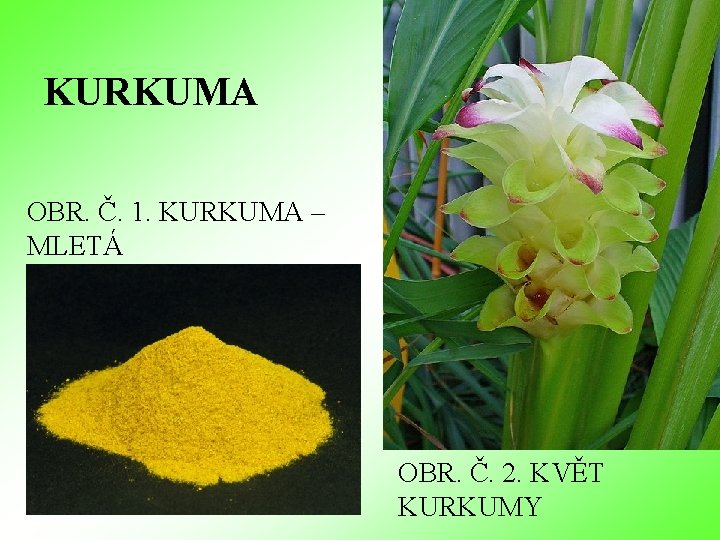 KURKUMA OBR. Č. 1. KURKUMA – MLETÁ OBR. Č. 2. KVĚT KURKUMY KURKUMA OBR. Č. 1. KURKUMA – MLETÁ OBR. Č. 2. KVĚT KURKUMY