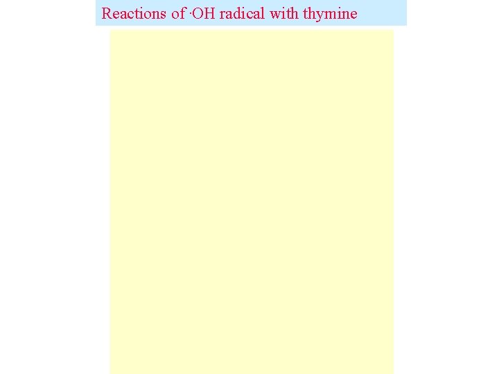 Reactions of. OH radical with thymine 