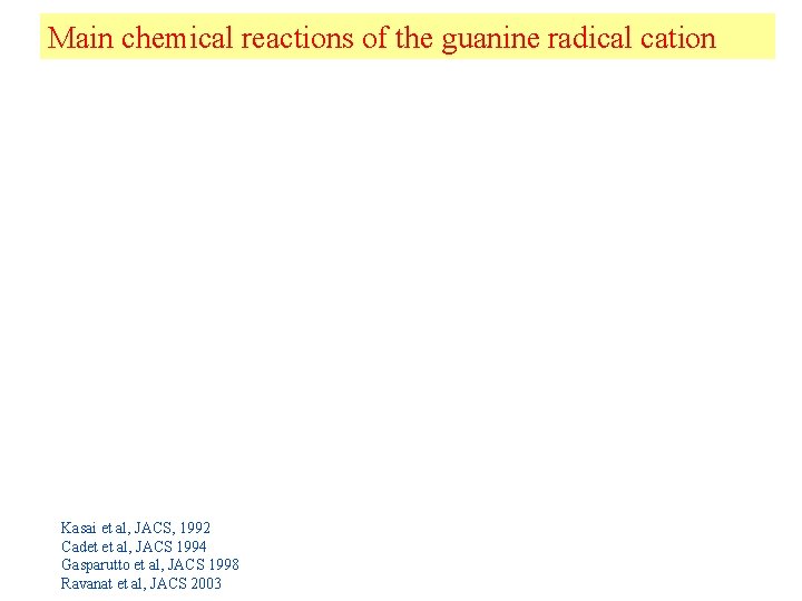 Main chemical reactions of the guanine radical cation Kasai et al, JACS, 1992 Cadet