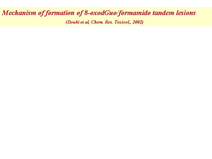 Mechanism of formation of 8 -oxod. Guo/formamido tandem lesions (Douki et al, Chem. Res.