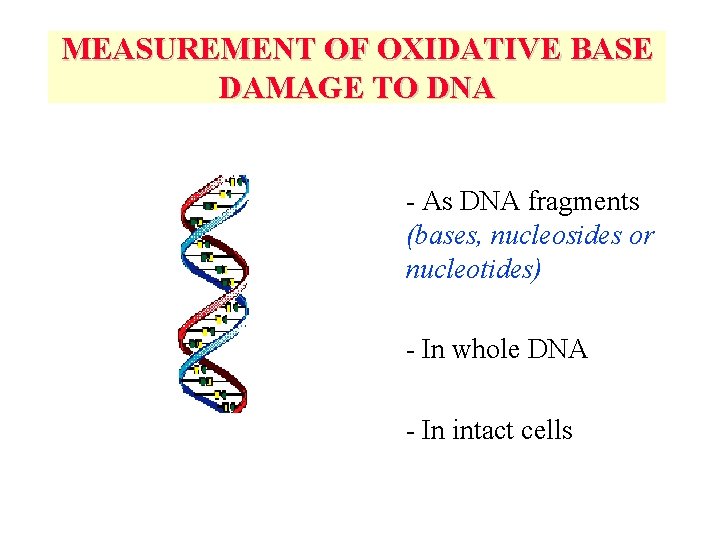 MEASUREMENT OF OXIDATIVE BASE DAMAGE TO DNA - As DNA fragments (bases, nucleosides or