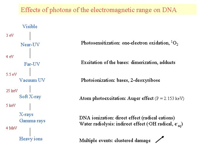 Effects of photons of the electromagnetic range on DNA Visible 3 e. V Near-UV
