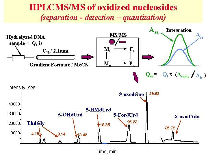 HPLCMS/MS of oxidized nucleosides (separation - detection – quantitation) Asa. MS/MS Hydrolyzed DNA sample