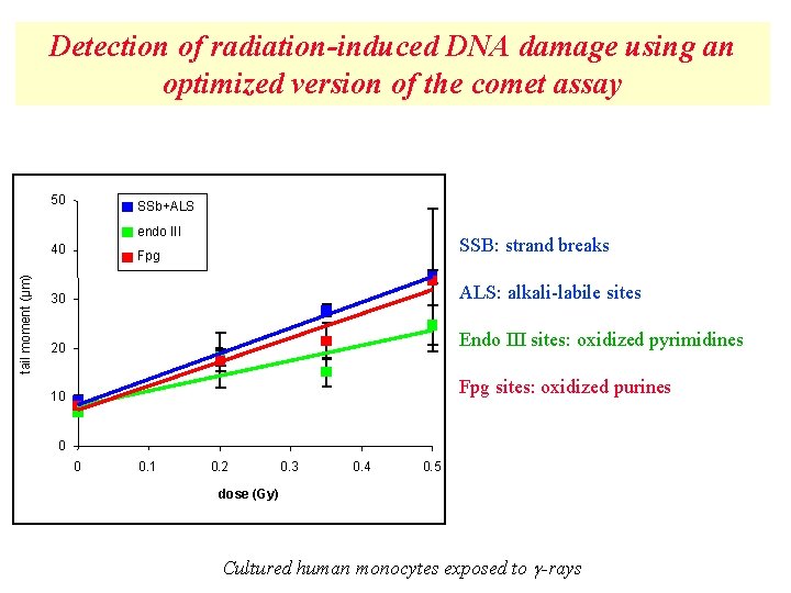 Detection of radiation-induced DNA damage using an optimized version of the comet assay 50