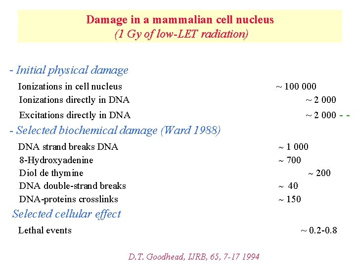 Damage in a mammalian cell nucleus (1 Gy of low-LET radiation) - Initial physical
