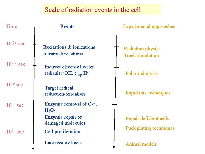 Scale of radiation events in the cell Time 10 -18 sec 10 -12 sec