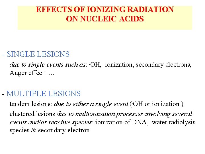 EFFECTS OF IONIZING RADIATION ON NUCLEIC ACIDS - SINGLE LESIONS due to single events