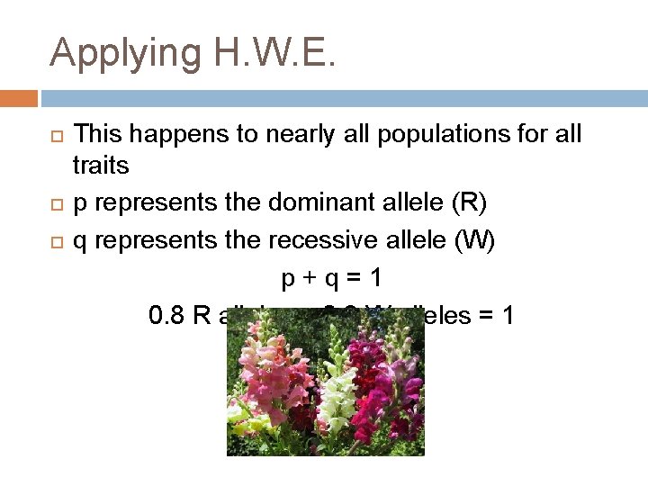 Applying H. W. E. This happens to nearly all populations for all traits p
