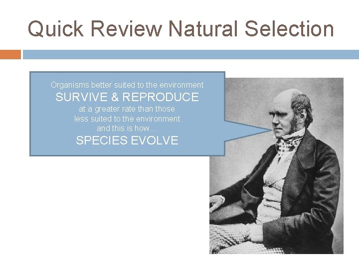 Quick Review Natural Selection Organisms better suited to the environment SURVIVE & REPRODUCE at