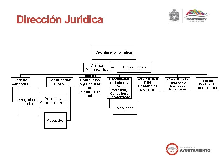 Dirección Jurídica Coordinador Jurídico Auxiliar Administrativo Jefe de Amparos Coordinador Fiscal Auxiliares Abogados y