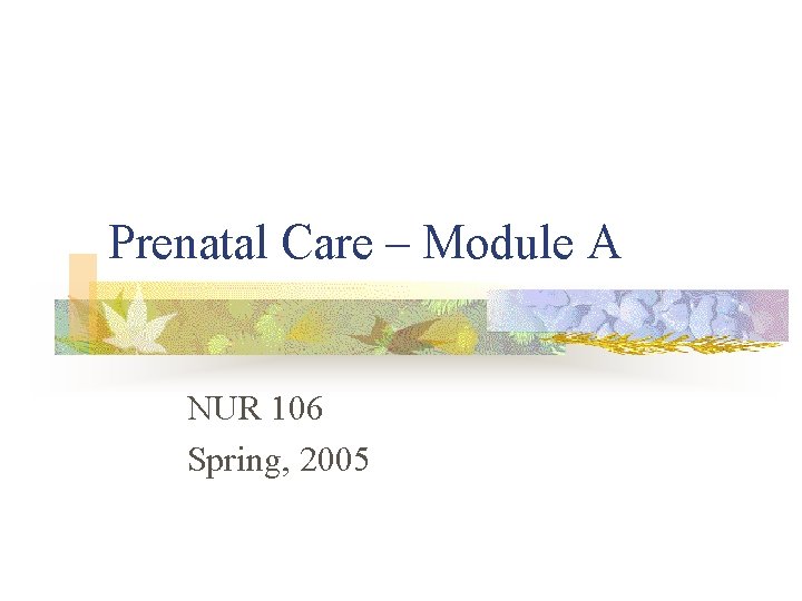 Prenatal Care – Module A NUR 106 Spring, 2005 Prenatal Care – Module A NUR 106 Spring, 2005