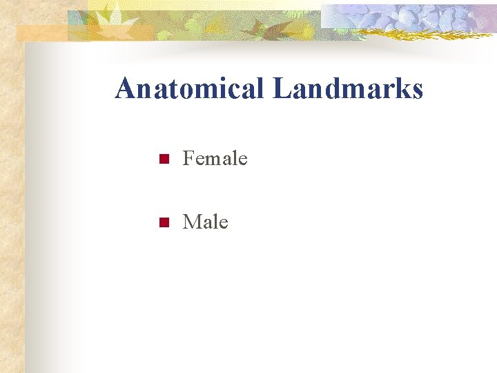 Anatomical Landmarks n Female n Male Anatomical Landmarks n Female n Male