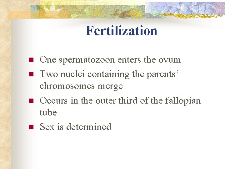 Fertilization n n One spermatozoon enters the ovum Two nuclei containing the parents’ chromosomes Fertilization n n One spermatozoon enters the ovum Two nuclei containing the parents’ chromosomes